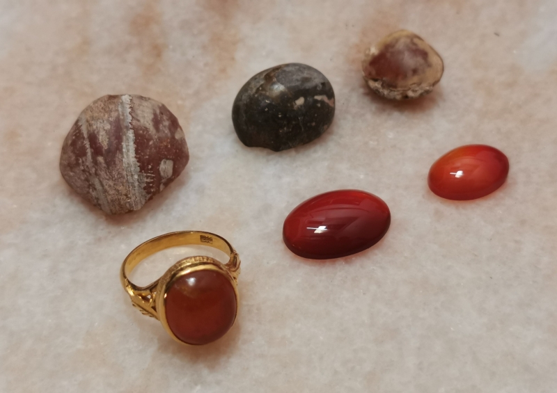 蛤类化石经过加工打磨后，成为红色的“蛤石”，也可制成戒指。