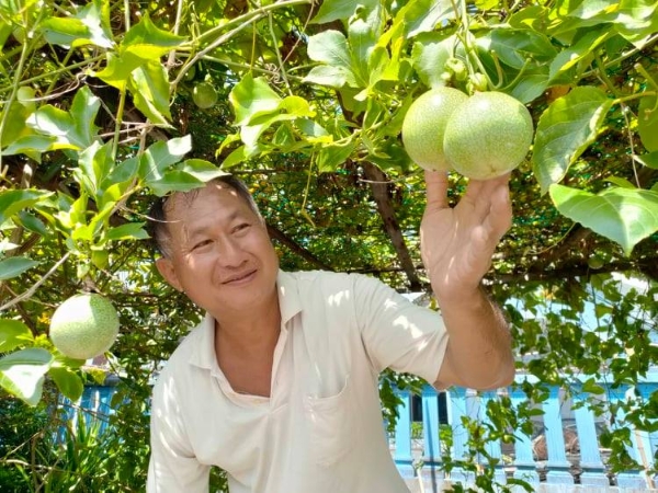 鄭明裕在住家旁種植百香果，也與一班友好走入校園，協助華小師生打造小農地。