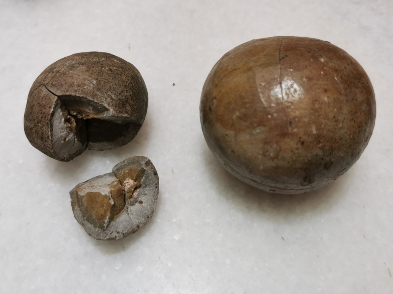 刘天海收藏多粒相信是海龟蛋的化石。