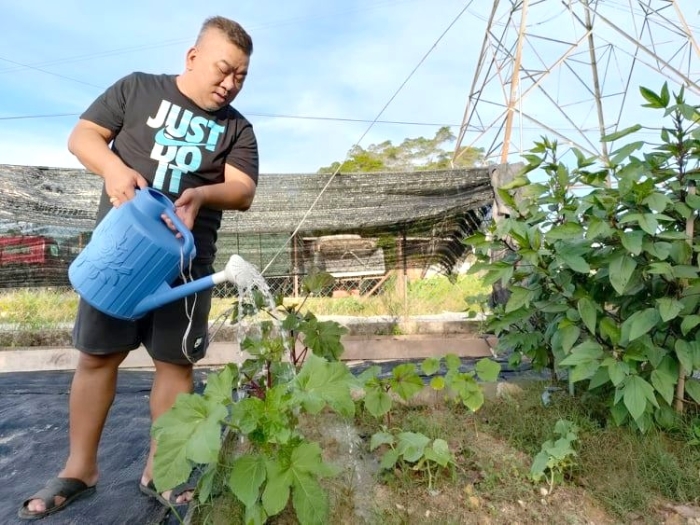 蘇廣才原是打算在屋旁的空地建造一座廠房，卻因行管令而闢成一座小菜園。