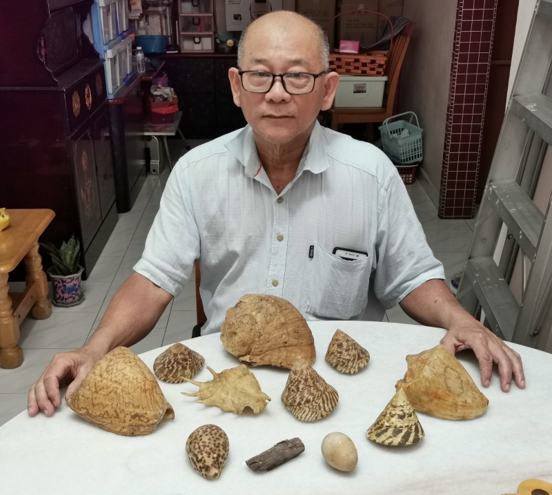 刘天海收藏祖传逾300件从铁山矿区挖掘出来的海洋生物化石，已成为铁山繁华一时的历史见证者。