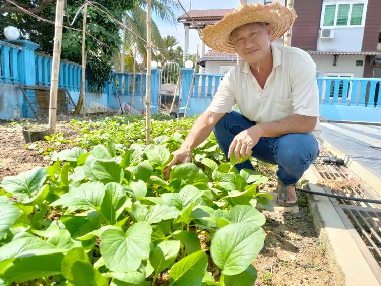 居家农耕也可创造财路；在住家旁小小平方尺的空地种植疏果，达到自供自给之余，也可让有意务农者，从小做起边学习相关知识。