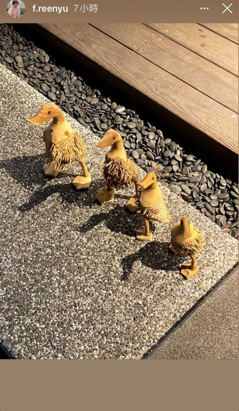 喻虹渊近日突晒出“4只鸭”的照片，不禁让人联想是否迎来二胎。