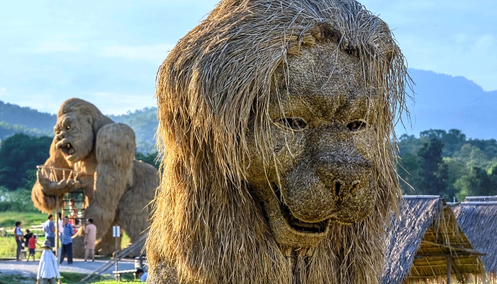 Larger-than-life figures of animals made of rice straw inside an amusement park on the shores of Huay Tueng Thao Lake outside Chiang Mai, Thailand. AFP Larger-than-life figures of animals made of rice straw inside an amusement park on the shores of Huay Tueng Thao Lake outside Chiang Mai, Thailand. AFP