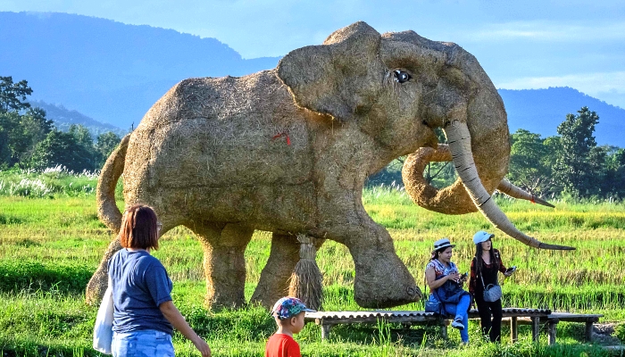 A figure of elephant made of rice straw inside an amusement park on the shores of Huay Tueng Thao Lake outside Chiang Mai, Thailand. AFP A figure of elephant made of rice straw inside an amusement park on the shores of Huay Tueng Thao Lake outside Chiang Mai, Thailand. AFP