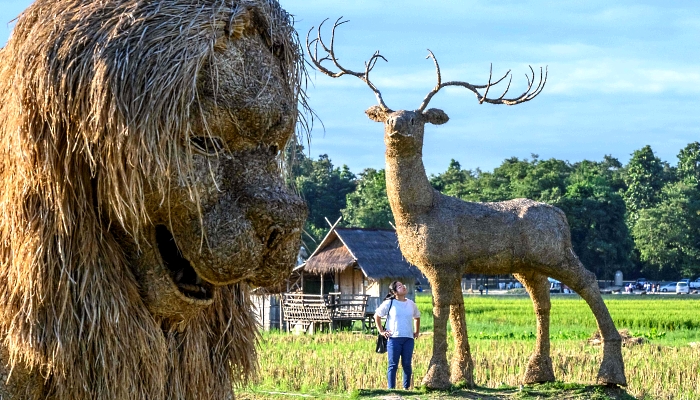 Larger-than-life figures of animals made of rice straw inside an amusement park on the shores of Huay Tueng Thao Lake outside Chiang Mai, Thailand. AFP Larger-than-life figures of animals made of rice straw inside an amusement park on the shores of Huay Tueng Thao Lake outside Chiang Mai, Thailand. AFP