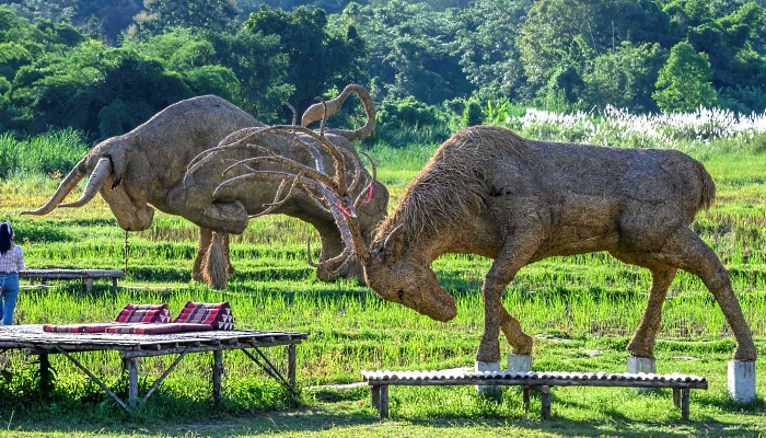 Larger-than-life figures of animals made of rice straw inside an amusement park on the shores of Huay Tueng Thao Lake outside Chiang Mai, Thailand. AFP Larger-than-life figures of animals made of rice straw inside an amusement park on the shores of Huay Tueng Thao Lake outside Chiang Mai, Thailand. AFP