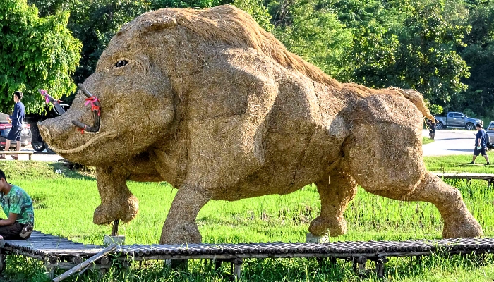 A larger-than-life figure of a wild boar made of rice straw inside an amusement park on the shores of Huay Tueng Thao Lake outside Chiang Mai, Thailand. AFP A larger-than-life figure of a wild boar made of rice straw inside an amusement park on the shores of Huay Tueng Thao Lake outside Chiang Mai, Thailand. AFP