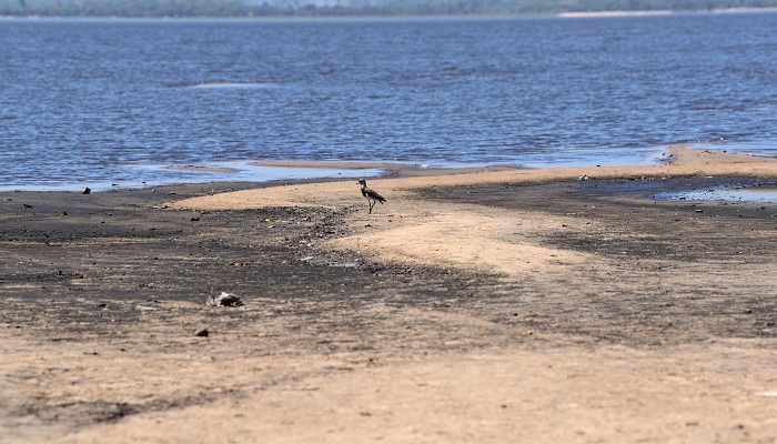 View of the dried banks of Lake Ypacarai in San Bernardino, Paraguay. Water levels of Lake Ypacarai are on their historical lows due to the severe drought affecting the country. AFP View of the dried banks of Lake Ypacarai in San Bernardino, Paraguay. Water levels of Lake Ypacarai are on their historical lows due to the severe drought affecting the country. AFP