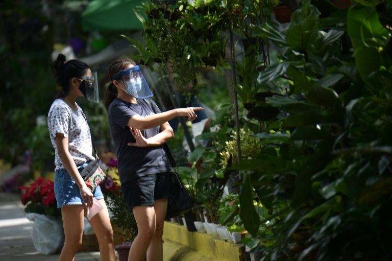 Long-time gardeners have welcomed the surge in interest, but urged the new Long-time gardeners have welcomed the surge in interest, but urged the new