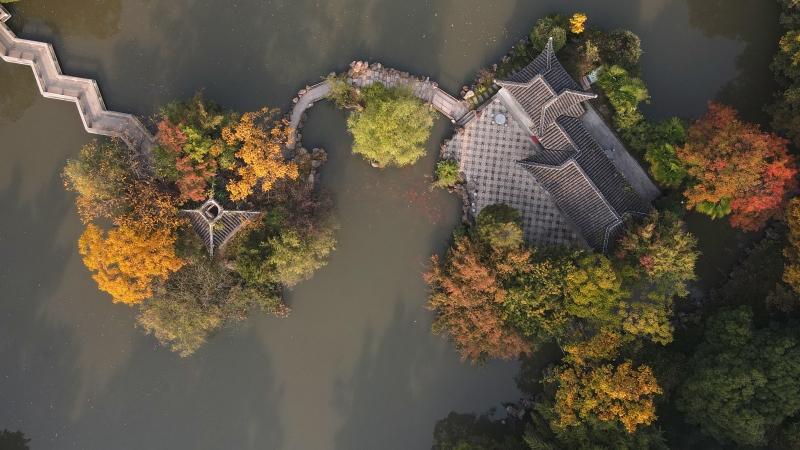 江苏扬州蜀冈-瘦西湖风景区内银杏、红杉等树色彩斑斓，尽显秋日迷人景色。（图：新华社）