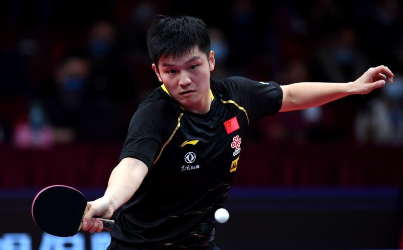 樊振东率先闯入国际乒联年终总决赛决赛，蝉联冠军在望。（新华社照片）