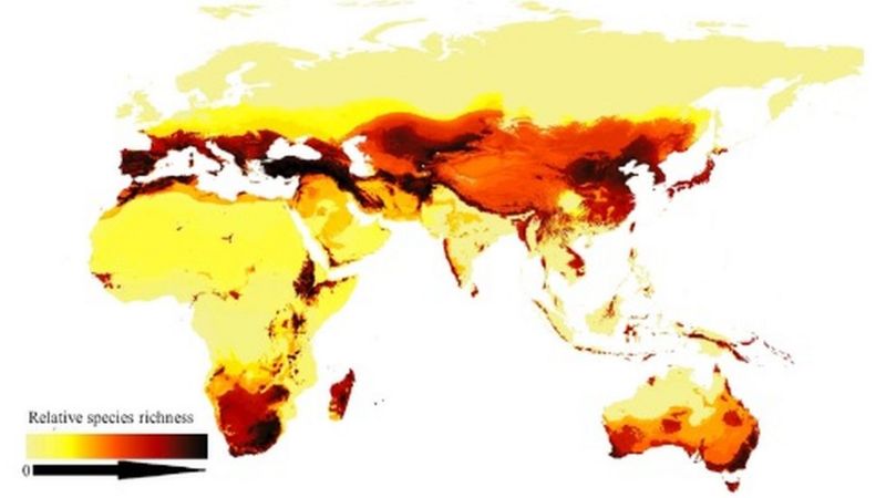 地图显示，北半球的蜜蜂密度较南半球高；在乾旱的沙漠和温带环境，蜂数又比潮湿的地带和森林区多。