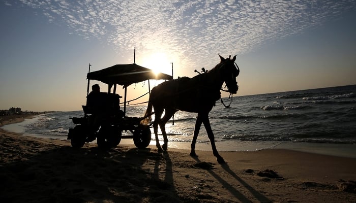 A Palestinian man drives his cart on the beach in Gaza City. AFP