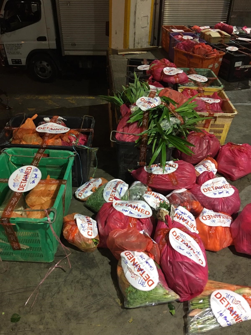 食品局稽查人员起获1.5公吨未申报或少申报的蔬菜，其中包括了菜心、苋菜、羽衣甘蓝和西芹。（新加坡食品局提供）