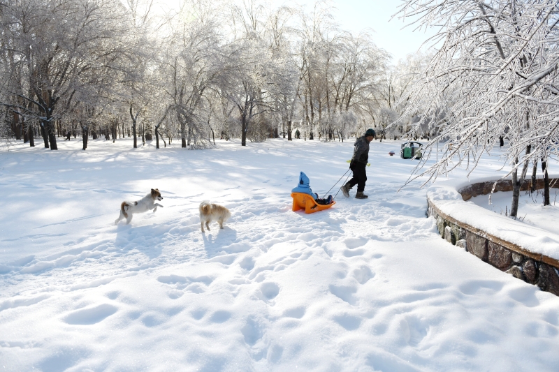 黑龙江省、吉林省多地迎来降雪天气。皑皑白雪给大地披上洁白的“盛装”，游人在公园内游玩。　

