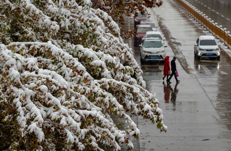 11月21日拍摄的雪中的喀什市主城区街头。　

