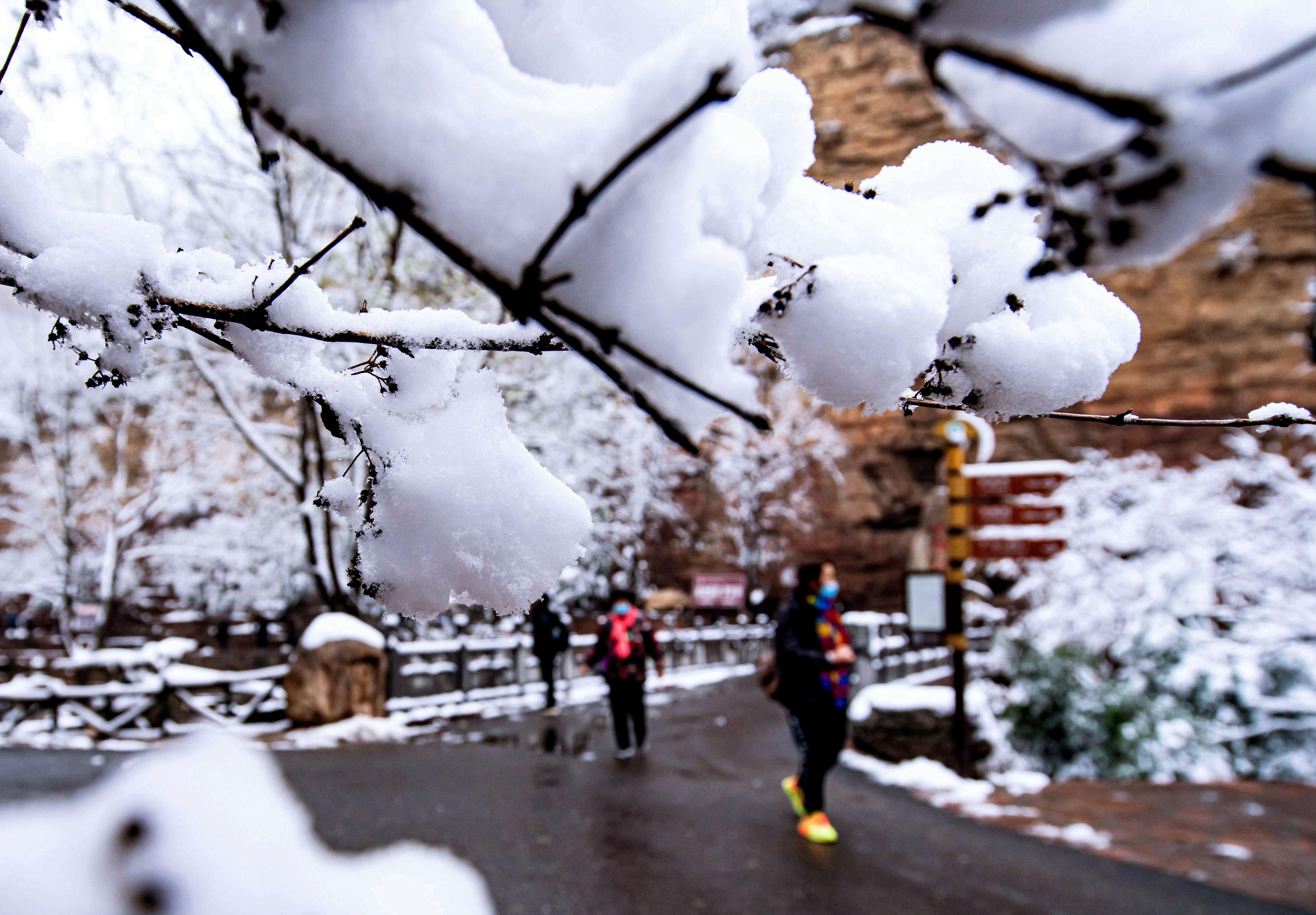 河北省武安市的太行山区迎来降雪，游客在武安市七步沟景区观赏雪景。　