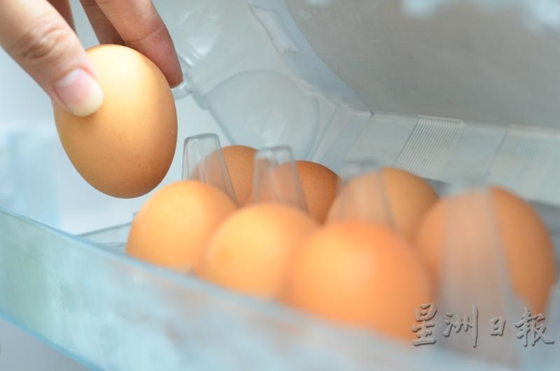 蛋壳的颜色和蛋鸡的品种有关，不过，即使是品种相同的鸡，蛋壳的颜色也会深浅不一。（摄影：本刊 林德成）