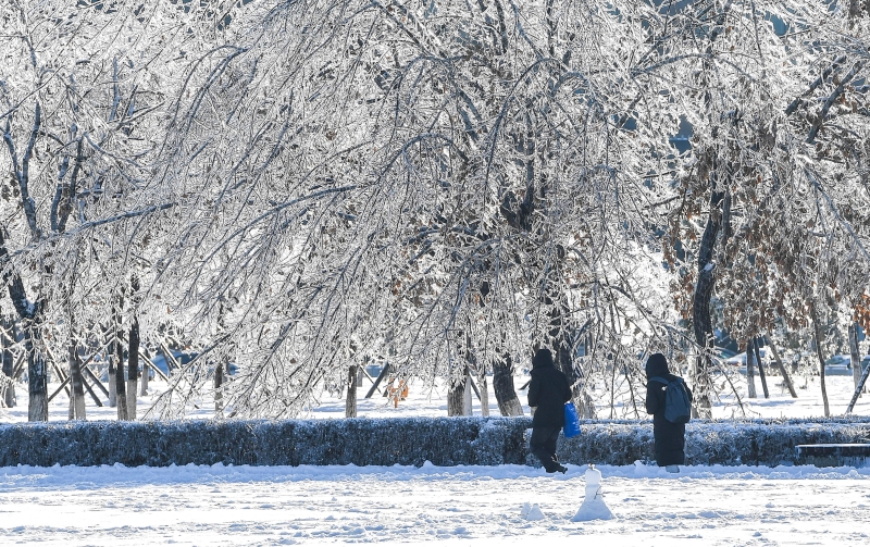 吉林省长春市雪后初晴，整个城市一片银装素裹，宛如冰雪童话世界。　

