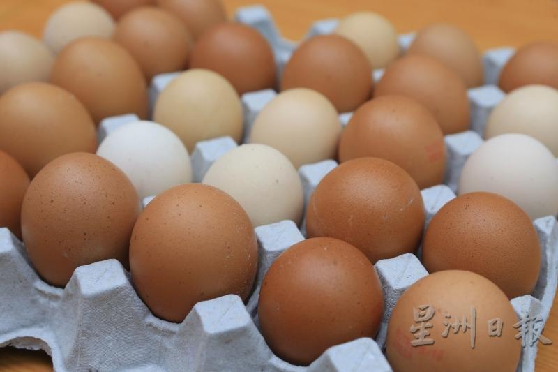 蛋殼的顏色和蛋雞的品種有關，不過，即使是品種相同的雞，蛋殼的顏色也會深淺不一。