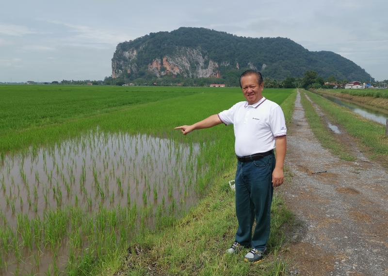 陈义敬带着张吉安走遍象屿山后，张吉安最后选择这片稻田作为《南巫》取景地。远景就是象屿山，吉打闻名的水晶山。
