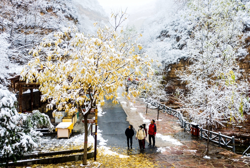 游客在武安市七步沟景区观赏雪景。

