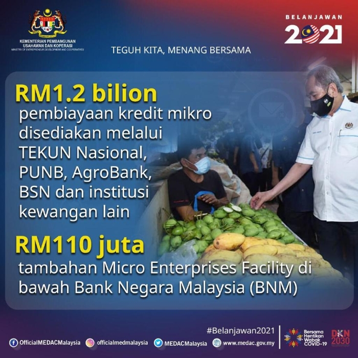 创业集团商业基金（Tekun Nasional）、国家企业家机构（PUNB）、农业银行（AgroBank）、国民储蓄银行（BSN）和其他金融机构提供12亿令吉的小额信贷融资，以及增加1亿1000万令吉给国家银行旗下的微型企业设施