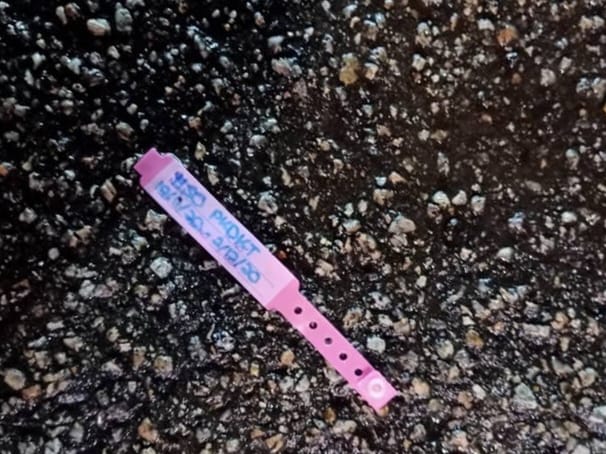 遭弃置在马路上的粉红色隔离手环，还清楚写明有关人士的隔离日期。