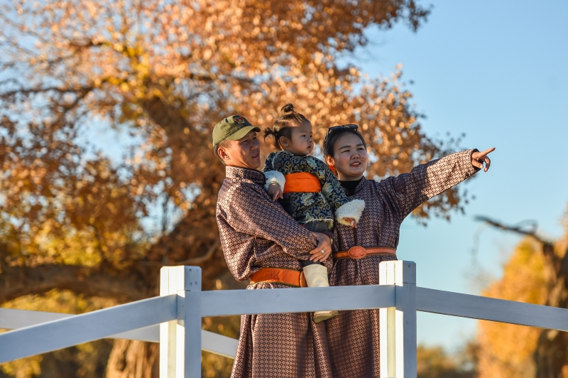游客在内蒙古自治区额济纳旗的胡杨林中游玩观赏。（图：新华社）

