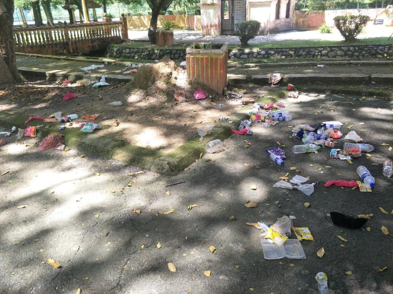 野猫为患，公园垃圾被翻到散落。