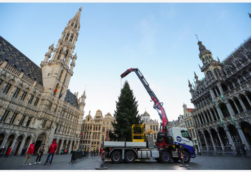 今年的比利时布鲁塞尔大广场上的圣诞树来自于比利时瓦隆大区，是一棵18公尺高的高加索冷杉，它的装饰元素主题将是“更新”。由于比利时目前正处于冠病疫情防控措施实施过程中，今年取消圣诞市场等活动。