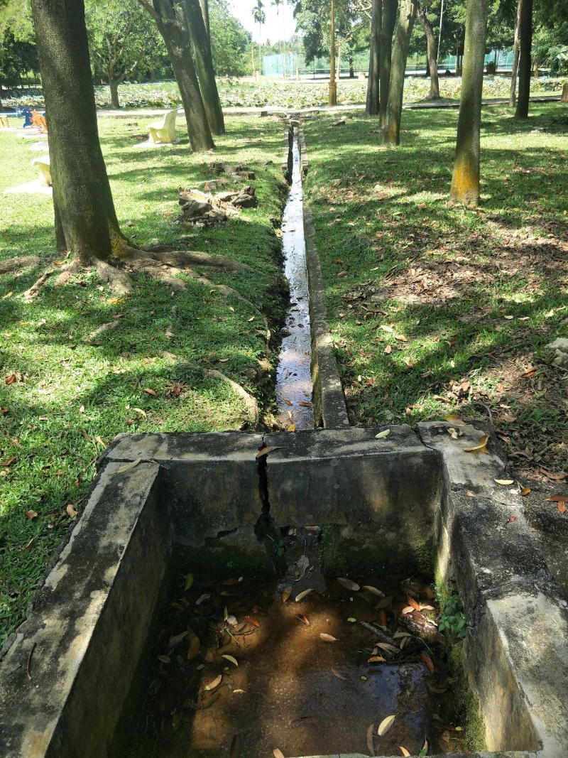 公园排水沟处处积水，排水系统出现问题。