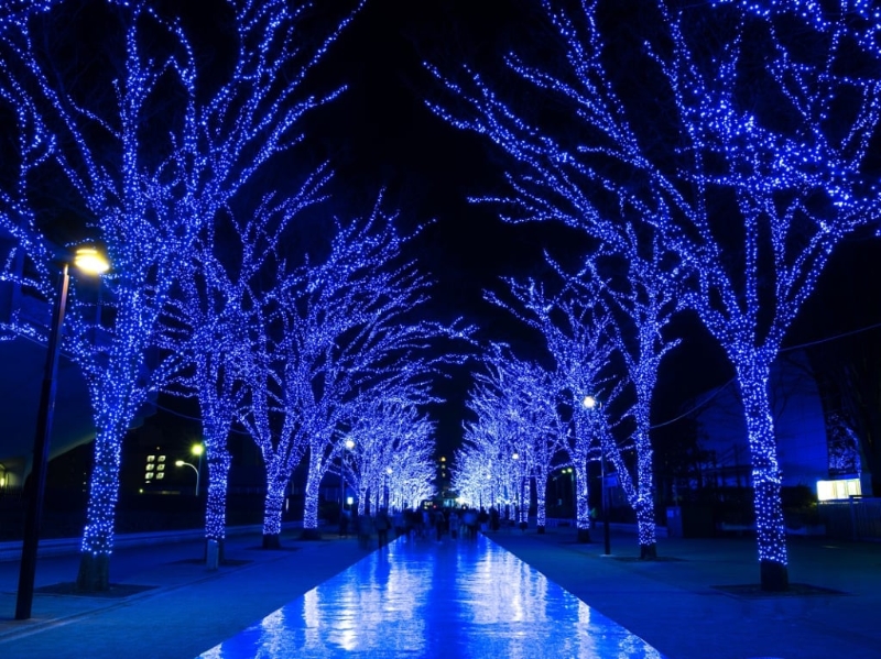 东京超人气的点灯活动之一青之洞窟，每年都吸引大量旅客前往朝圣，一睹涩谷冬季夜晚限定的迷人光彩。

