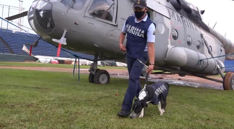 海军部队将狗狗从沟渠救出后，决定收养它。