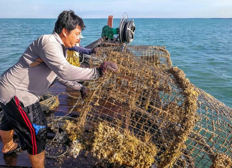 取出鱼获后，渔网又要放回海里进行定位，以便下次出海再回来打捞。