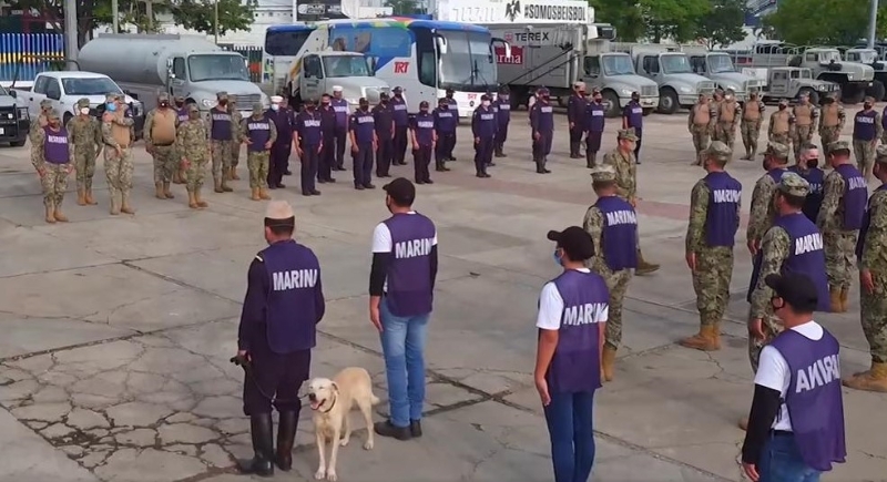 拉布拉多犬跟着海军人员在海军基地一起受训。
