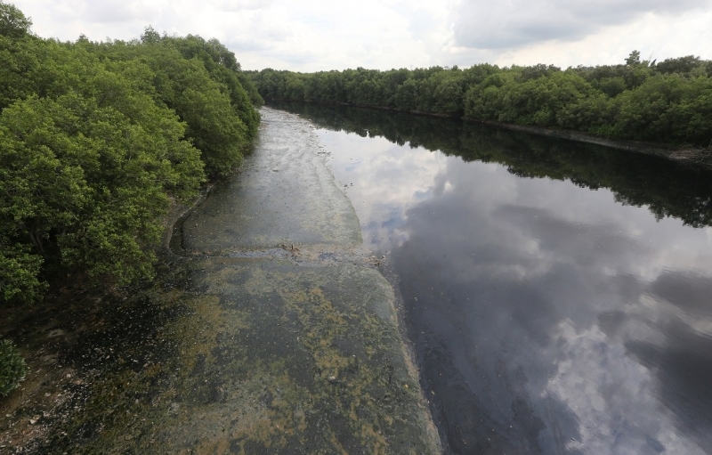 州政府将拨款推行“一县一河流”计划，用作提升当地社区有关河流的重要性意识。