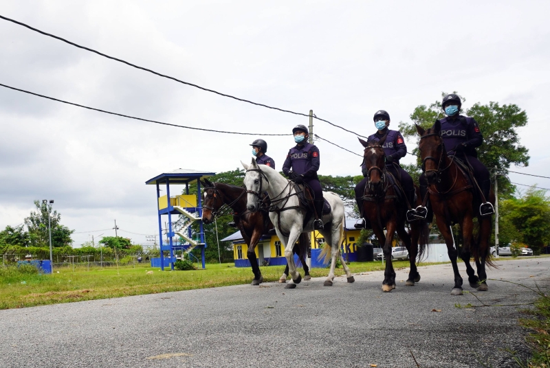 骑警队在马泰边境安全及发展道路巡逻。
