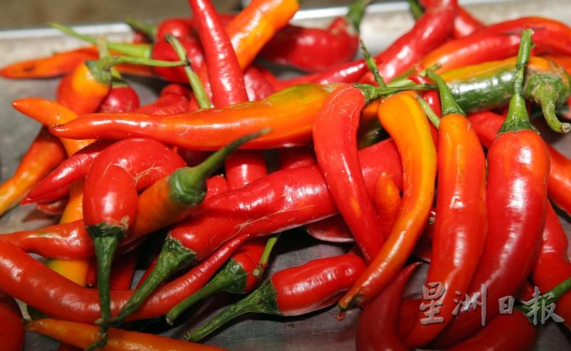 红辣椒价格大涨，本地红辣椒涨至每公斤约20令吉。