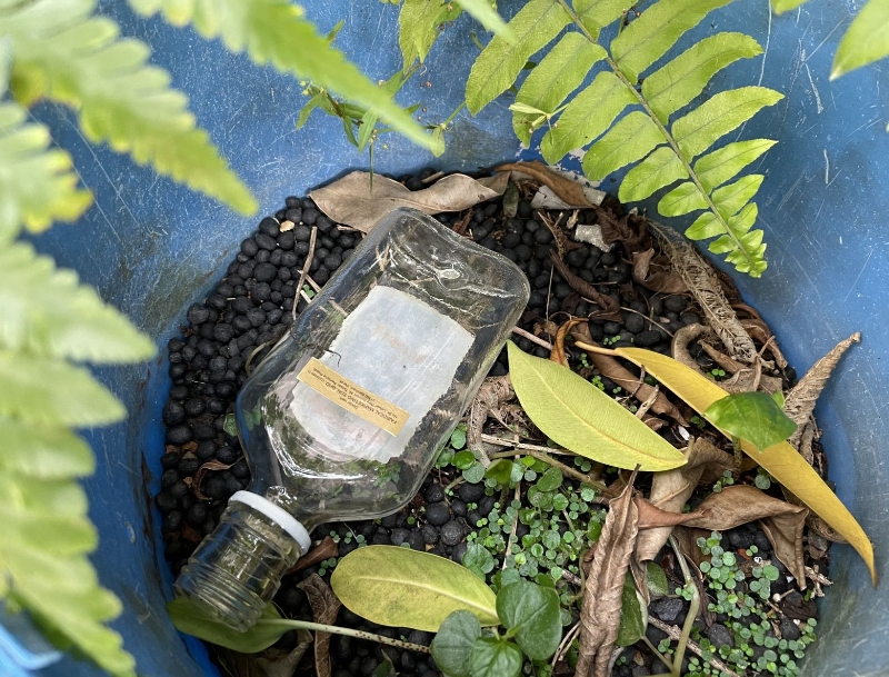 盆栽里有空置酒瓶，看来有人在此买醉。