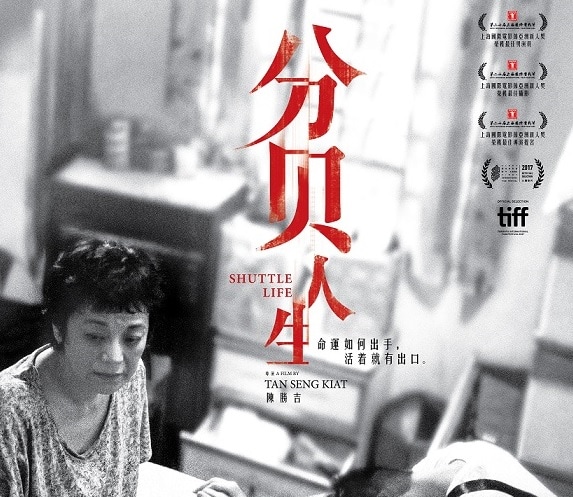 王礼霖曾在2017年自荐让《分贝人生》代表大马报名奥斯卡最佳外语片但不受理，后来他才知道，马来西亚注册的官方语言是马来语，所以中文电影不能代表大马申奥。