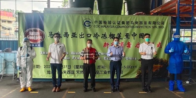 Fu Jun (R3) and Chuah Poh Khiong (L3) at the launch of disinfection by the China Certification and Inspection Malaysia Commodities Inspection Sdn Bhd on cargo containers before shipping the frozen durian pulp to China.