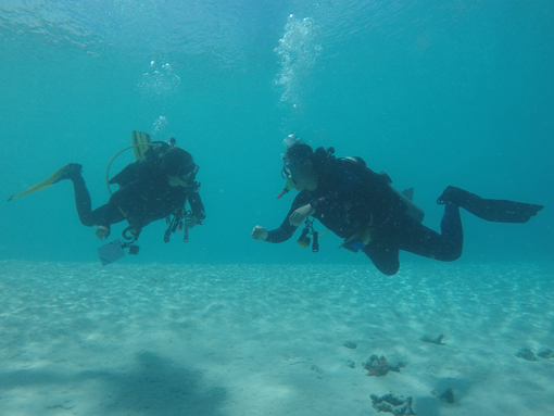 在教练的引导下，学员正在练习和调整水中正确的潜水姿势。