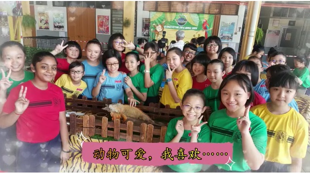 学生们愉快地参加校园活动。