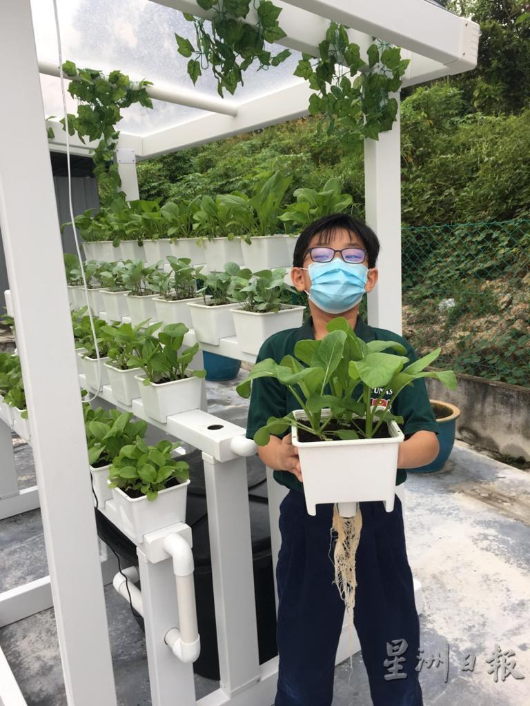 学生在校园也可以学习水耕栽培法，亲手体验种植的乐趣和学习种植技能。