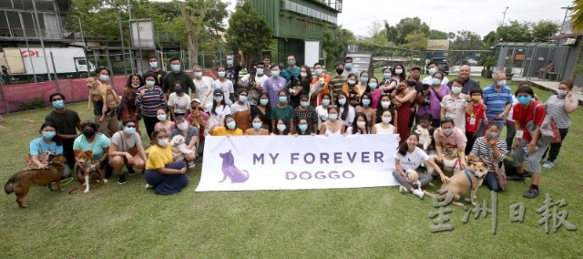 My Forever Doggo成立了短短一年，就为约80只狗找到新主人，因此趁着一周年纪念办了一场活动，邀请所有领养人带着他们的狗狗一起出席。