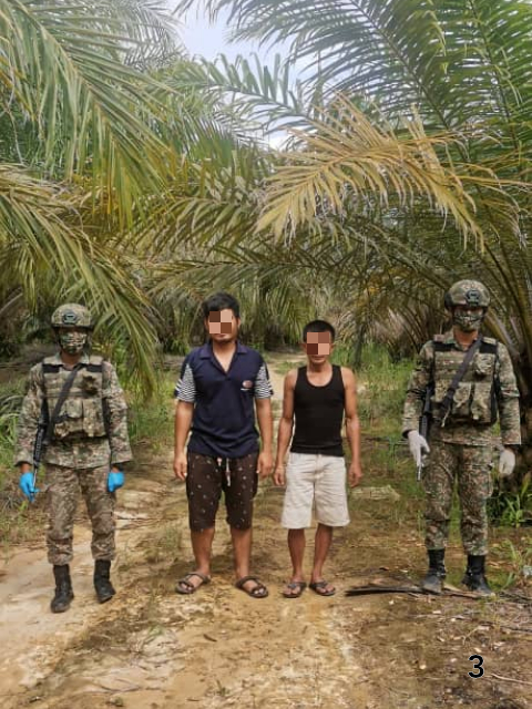 偷渡嫌犯使用棕榈园内的林间小路及边境一带老鼠路偷渡进入我国。