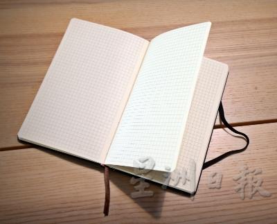 普通笔记本：常见的日记本内页分为全书横线、空白、方格、点正等。设计简洁不花俏，适合喜欢工整、喜欢详细记录的使用者。