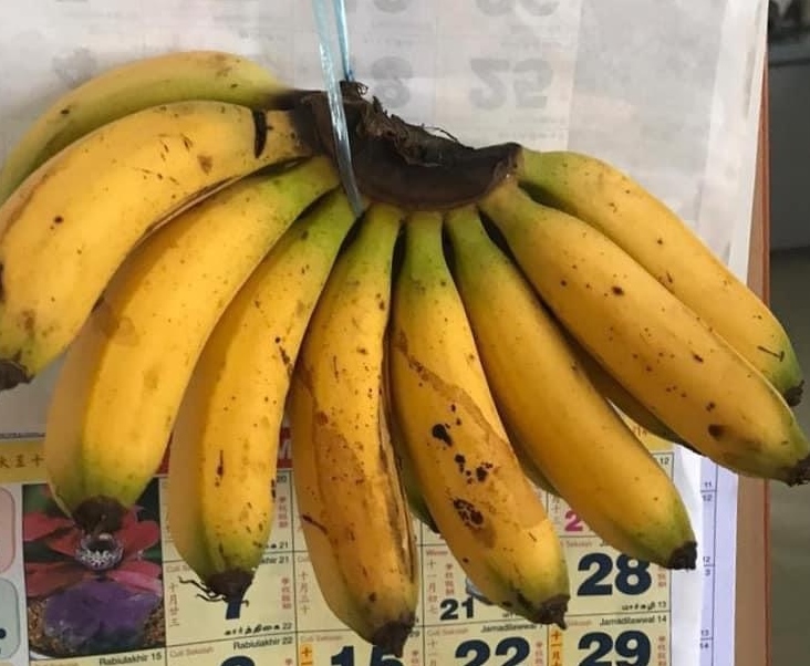 “香蕉头尾绿色，其他部份黄色”是熟香蕉，与催熟物无关。